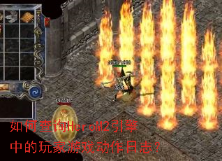 ��β�ѯHeroM2�����е������Ϸ������־��