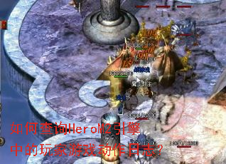 ��β�ѯHeroM2�����е������Ϸ������־��