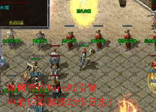 ��β�ѯHeroM2�����е������Ϸ������־��