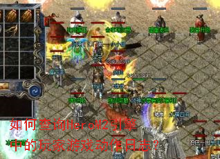 ��β�ѯHeroM2�����е������Ϸ������־��