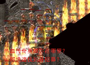 ��Ѫ����Ӣ�����������ο����ҵ�����ļ��