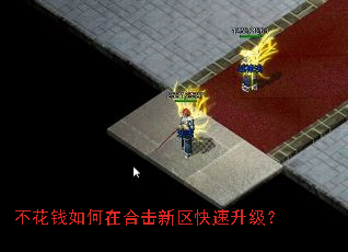 ����Ǯ����ںϻ���������������
