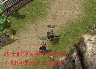 战士职业为何不如宠物?如何提升战士实力? 战士职业为何不如宠物?如何提升战士实力?