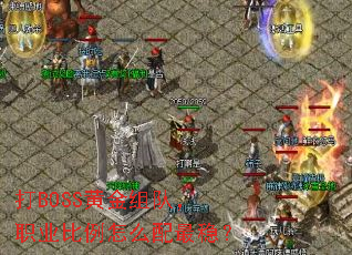 ��BOSS�ƽ���ӣ�ְҵ������ô�����ȣ�
