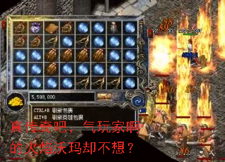 �洫��ɣ�����Ұ��Ļ�������ȴ���룿