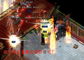 սʿ��β鿴����ѫ�ºţ�