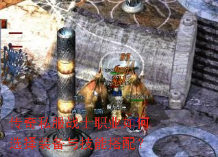 ����˽��սʿְҵ���ѡ��װ���뼼�ܴ��䣿