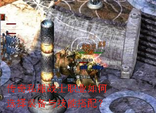 ����˽��սʿְҵ���ѡ��װ���뼼�ܴ��䣿