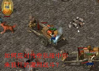 ���Ӧ�Դ���˽�������������ļ���ս����