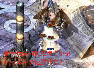 �����������ڴ���С��Ʒ�汾�п�������ʵ����