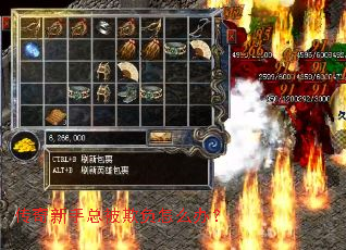 ���������ܱ��۸���ô�죿
