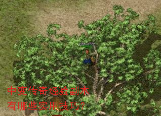 �б䴫�澭�鸱������Щʵ�ü��ɣ�