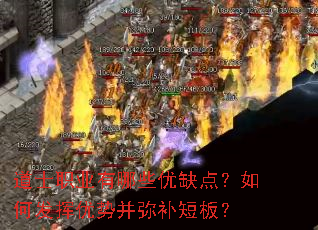 ��ʿְҵ����Щ��ȱ�㣿��η������Ʋ��ֲ��̰壿