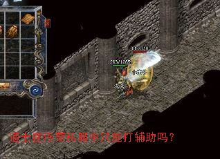 ��ʿ�ڴ���˽����ֻ�ܴ�����