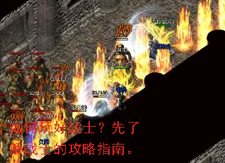 ������սʿ�����˽�սʿ�Ĺ���ָ�ϡ�