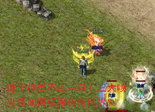 ��ʿ���޲�ֹһֻ������������������������磿
