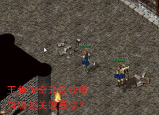 ���ô���������������Щ�ؼ�Ҫ�㣿