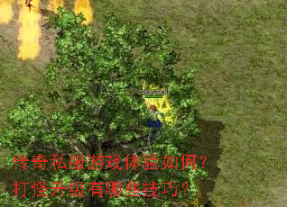 传奇私服游戏体验如何?打怪升级有哪些技巧? 传奇私服游戏体验如何?打怪升级有哪些技巧?