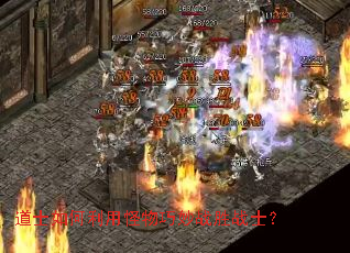 道士如何利用怪物巧妙战胜战士? 道士如何利用怪物巧妙战胜战士?