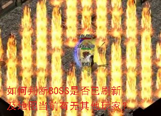 如何判断BOSS是否已刷新及地图当前有无其他玩家? 如何判断BOSS是否已刷新及地图当前有无其他玩家?