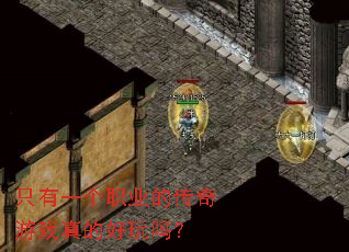 只有一个职业的传奇游戏真的好玩吗? 只有一个职业的传奇游戏真的好玩吗?