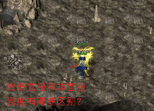 传奇官服和非官服到底有哪些区别? 传奇官服和非官服到底有哪些区别?