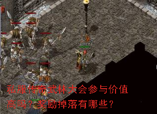 私服传奇武林大会参与价值高吗?奖励掉落有哪些? 私服传奇武林大会参与价值高吗?奖励掉落有哪些?