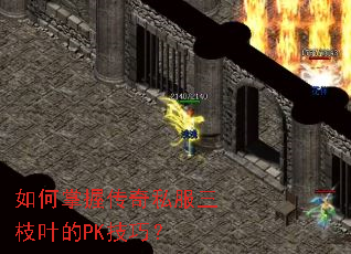 ������մ���˽����֦Ҷ��PK���ɣ�