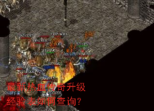 ������Ѫ���������������β�ѯ��