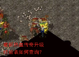 ������Ѫ���������������β�ѯ��
