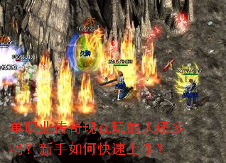 ��ְҵ������������˻�����������ο������֣�