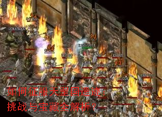 �����������ż�����ս�뱦��ȫ������