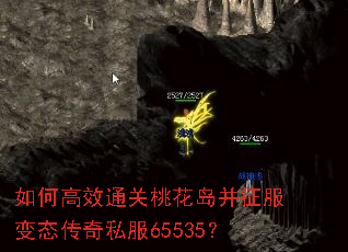 如何高效通关桃花岛并征服变态传奇私服65535? 如何高效通关桃花岛并征服变态传奇私服65535?