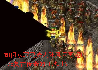 ��λ�ȡ�귨��½��������1.76���Ŵ����IP��ַ��