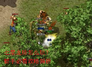 七星龙脉怎么玩?新手必看攻略解析 七星龙脉怎么玩?新手必看攻略解析