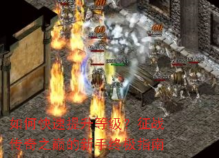 如何快速提升等级?征战传奇之巅的新手终极指南 如何快速提升等级?征战传奇之巅的新手终极指南