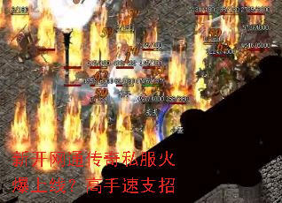 �¿���ͨ����˽�������ߣ�������֧��