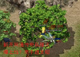 �¿���ͨ����˽�������ߣ�������֧��