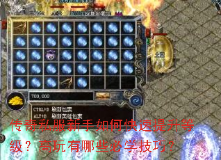 传奇私服新手如何快速提升等级?高玩有哪些必学技巧? 传奇私服新手如何快速提升等级?高玩有哪些必学技巧?