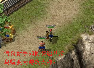 传奇新手如何快速从菜鸟蜕变为游戏大神? 传奇新手如何快速从菜鸟蜕变为游戏大神?