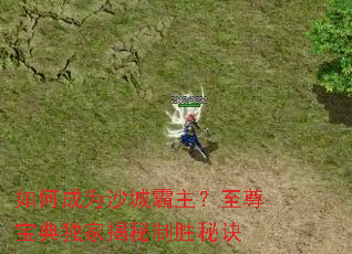 如何成为沙城霸主?至尊宝典独家揭秘制胜秘诀 如何成为沙城霸主?至尊宝典独家揭秘制胜秘诀