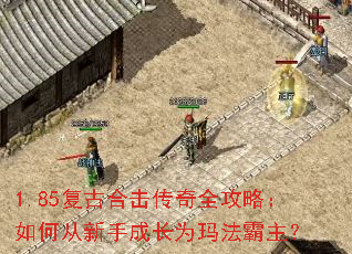 1.85���źϻ�����ȫ���ԣ���δ����ֳɳ�Ϊ�귨������