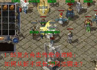 1.85���źϻ�����ȫ���ԣ���δ����ֳɳ�Ϊ�귨������