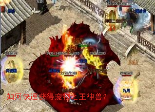 如何快速获得宠物之王神兽? 如何快速获得宠物之王神兽?