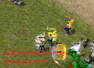 如何击败无限合击传奇私服中的终极BOSS? 如何击败无限合击传奇私服中的终极BOSS?
