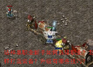վ��ְҵ�������ѡ��ְҵ����������װ������������Щ���ɣ�