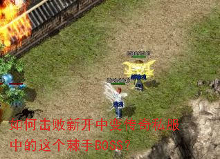 如何击败新开中变传奇私服中的这个棘手BOSS? 如何击败新开中变传奇私服中的这个棘手BOSS?