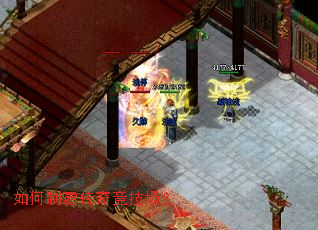 ����ưԴ��澺������