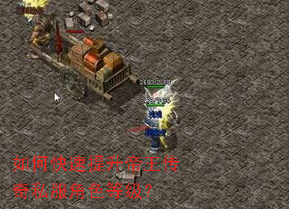 如何快速提升帝王传奇私服角色等级? 如何快速提升帝王传奇私服角色等级?
