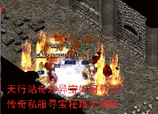 天行站奇珍异宝如何寻觅?传奇私服寻宝秘籍大揭秘 天行站奇珍异宝如何寻觅?传奇私服寻宝秘籍大揭秘